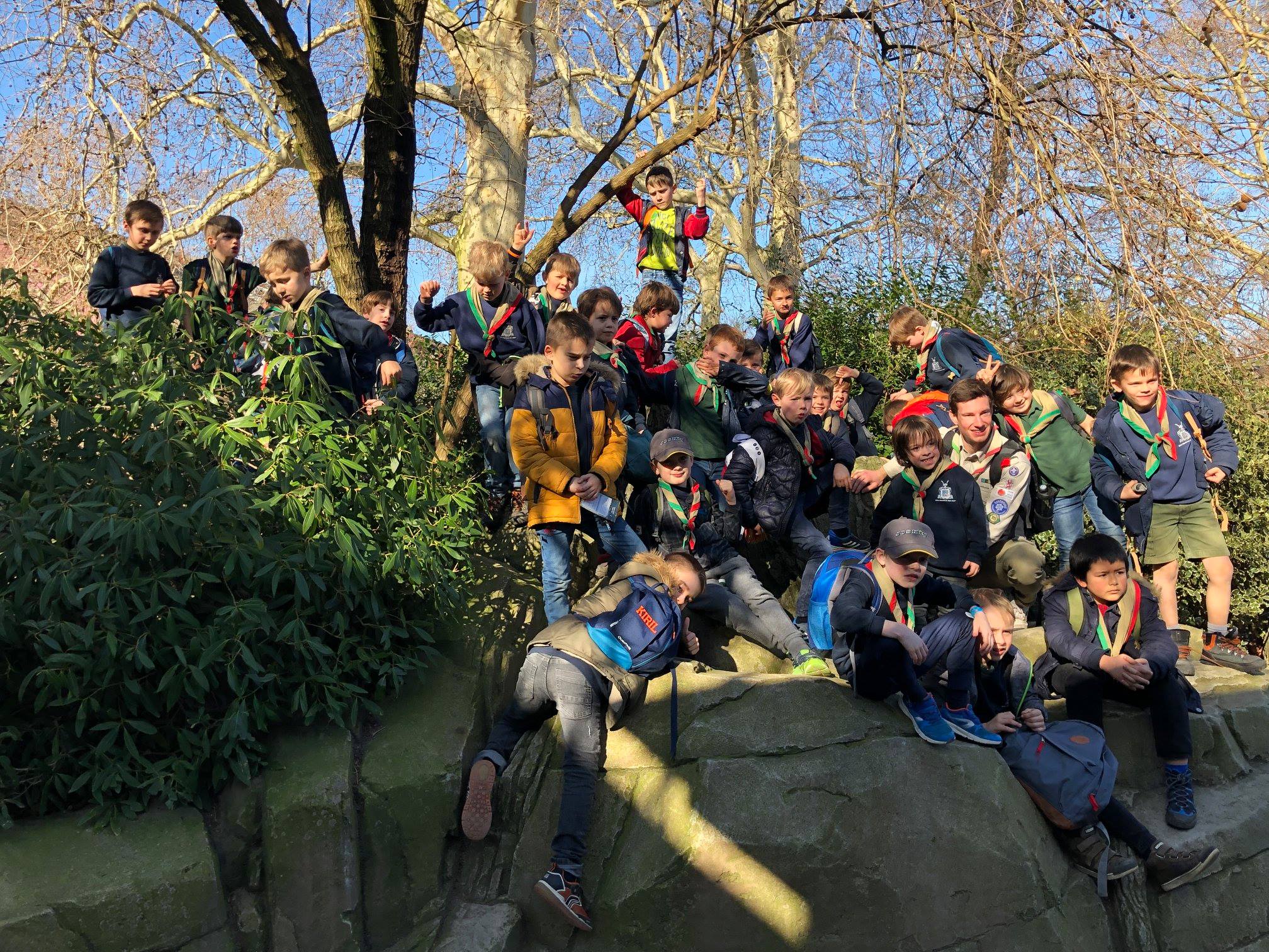 Sint-Martinus den XIIde - Zoo Antwerpen Kapoenen